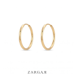 گوشواره حلقه ای